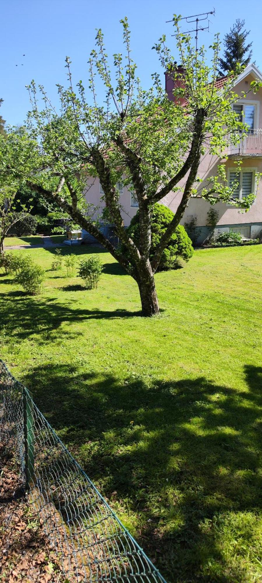 Hela Boendet Uthyres Överlida Extérieur photo