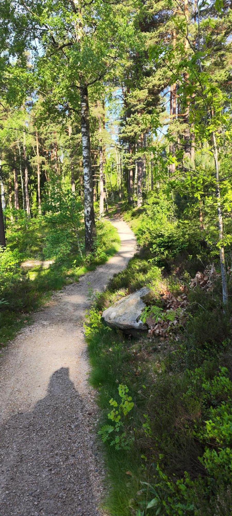 Hela Boendet Uthyres Överlida Extérieur photo