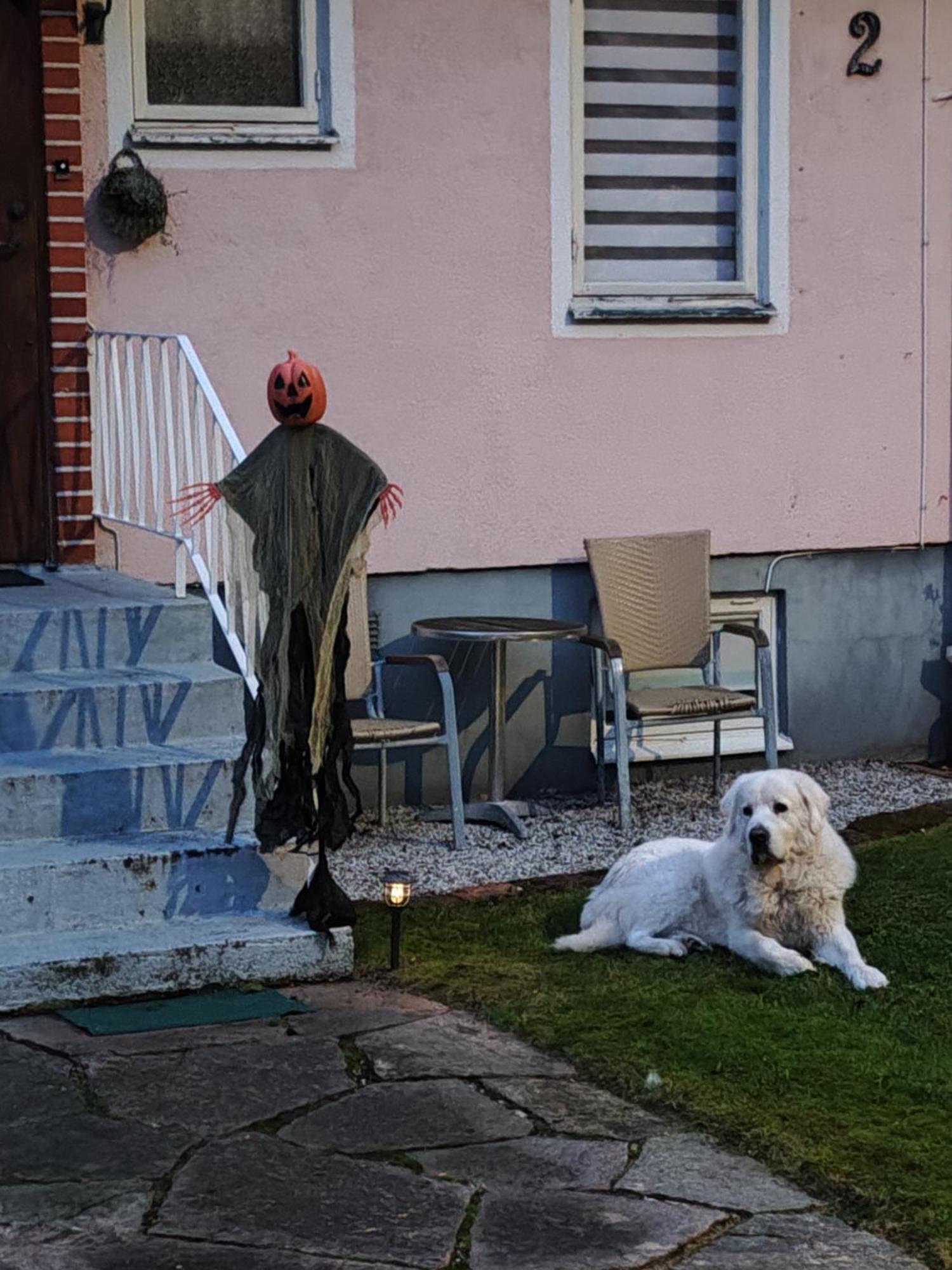Hela Boendet Uthyres Överlida Extérieur photo